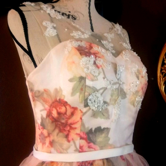 Gorgeous custom made gown - Picture 5 of 14